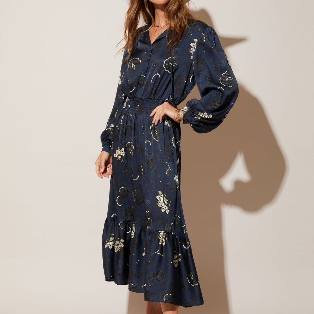 NWT | Tucker NYC Silk Juliette Dress